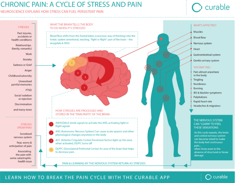 Chronic Pain Management Hopkins Medical Group